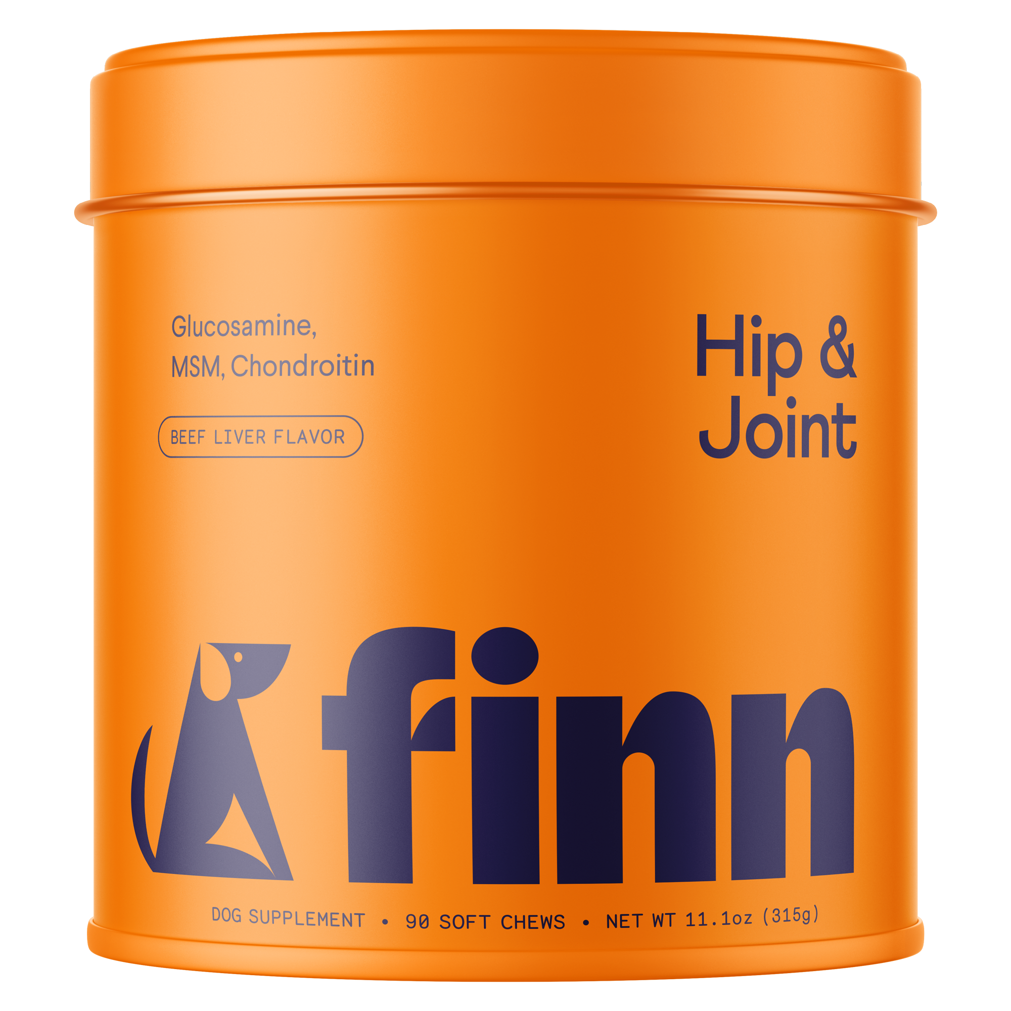 FINN_TIN_HIP_JOINT